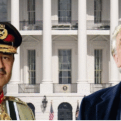 Asim Trump
